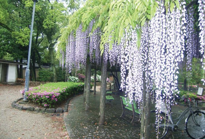 中村公園